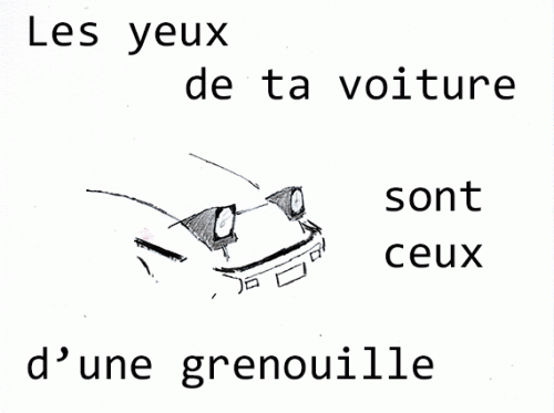 mym_voiture_grenouille