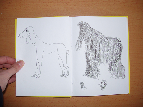 afghan_hound_coupe_modemploi